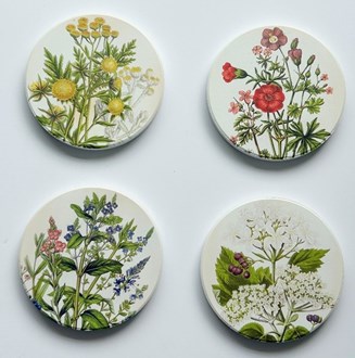 Coasters Medicinal Plants 9cm, set of 4